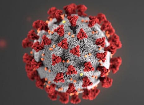 Hay que elegir: Medicare para todos o coronavirus para todos