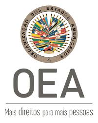 OAS Electoral Observation Mission in Brazil