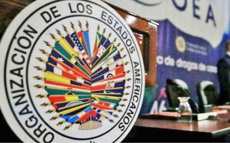 OAS Mission concludes observation in Bolivia’s Subnational Elections