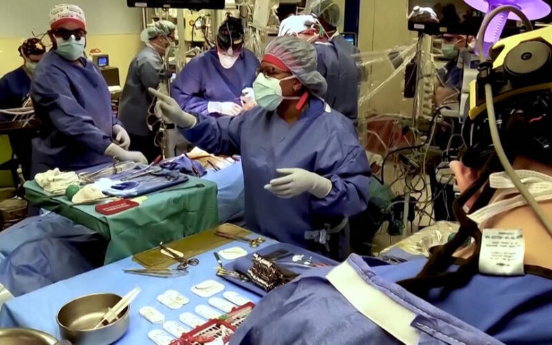 Médicos trasplantan por primera vez a un ser humano el corazón de un cerdo modificado genéticamente