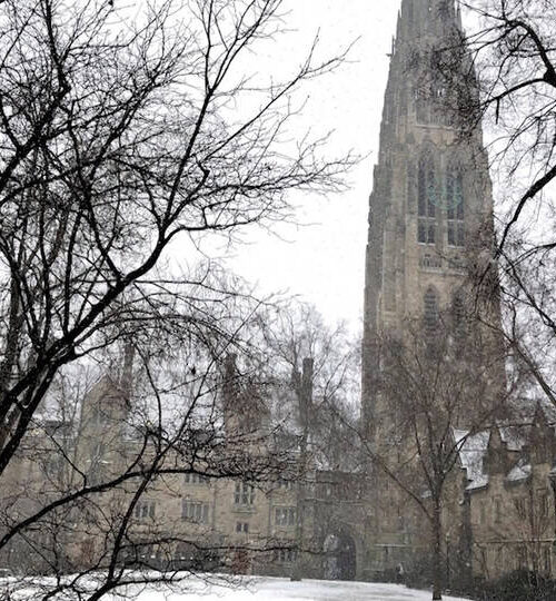 Estudiantes con discapacidades de salud mental demandan a la Universidad de Yale por discriminación