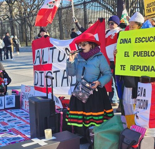 Frente a la Casa Blanca, peruanos piden la renuncia de Dina Boluarte
