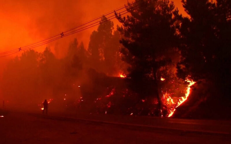 Incendios forestales agravados por las altas temperaturas dejan al menos 24 muertos en Chile