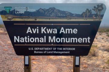 Biden Designates New National Monuments in Nevada and Texas in Victory for Indigenous Groups
