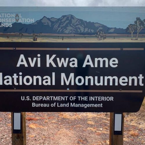 Biden Designates New National Monuments in Nevada and Texas in Victory for Indigenous Groups