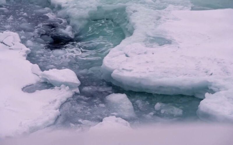 El hielo marino del Ártico podría desaparecer a partir de la década de 2030