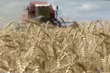 U.N. Warns Foundering Black Sea Grain Deal Could Exacerbate Food Crisis