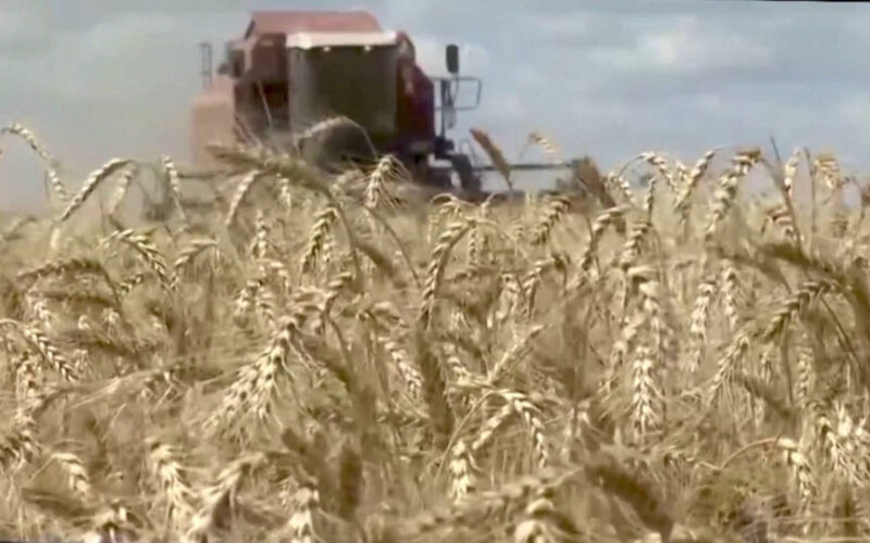 U.N. Warns Foundering Black Sea Grain Deal Could Exacerbate Food Crisis