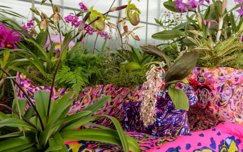 Artwork: The Future of Orchids: Conservation and Collaboration