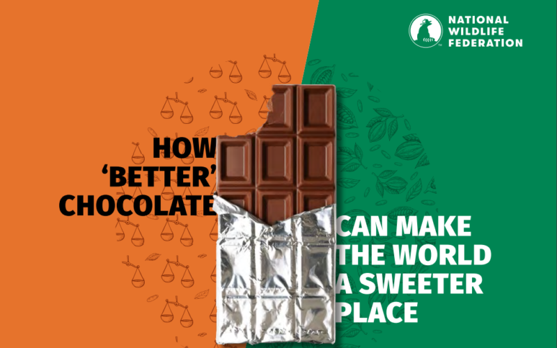 Persisten desafíos en la industria del chocolate sobre trabajo forzado