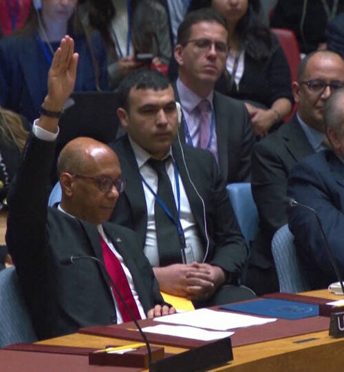 EE.UU. veta el ingreso de Palestina en la ONU como miembro de pleno derecho