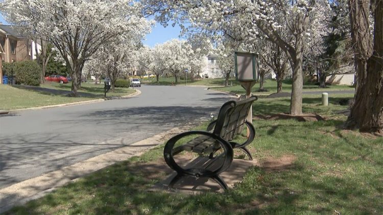 ¿Se les ofrecieron 4 millones de dólares a cada uno de los vecinos de Ashburn por sus propiedades?