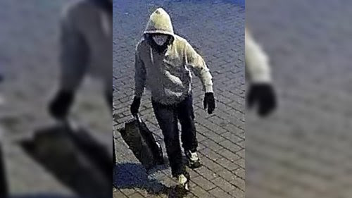 Hombre acusado de colocar bombas caseras antes de los disturbios del 6 de enero argumenta que los indultos masivos de Trump se aplican a su caso