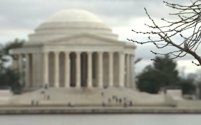 Los cerezos en flor de Washington, D.C., alcanzan la primera etapa de su ciclo de floración
