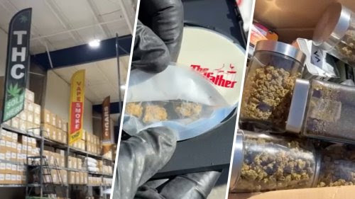 Importante incautación de marihuana: Padre e hijos acusados ​​de suministrar drogas a tiendas de vapeo en Virginia