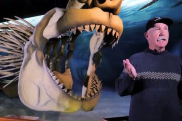 Por qué el megalodón podría convertirse en el tiburón estatal de Maryland