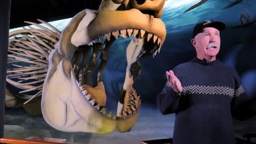 Por qué el megalodón podría convertirse en el tiburón estatal de Maryland