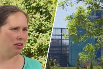 En medio del ruido «constante» del centro de datos, los residentes de Sterling también temen por su salud