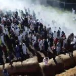 La policía ataca con gases lacrimógenos a cientos de activistas que intentaban rescatar a perros utilizados para experimentación médica en Wisconsin