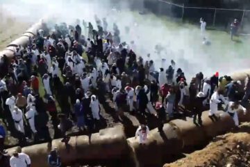 La policía ataca con gases lacrimógenos a cientos de activistas que intentaban rescatar a perros utilizados para experimentación médica en Wisconsin