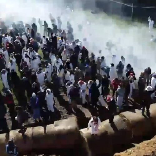 La policía ataca con gases lacrimógenos a cientos de activistas que intentaban rescatar a perros utilizados para experimentación médica en Wisconsin