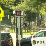 Hombre golpeado hasta morir en un ataque al azar en la estación de Metro Addison Road