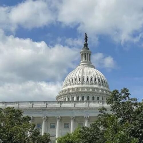 Los votantes inmigrantes elegibles influyen en las elecciones a nivel nacional