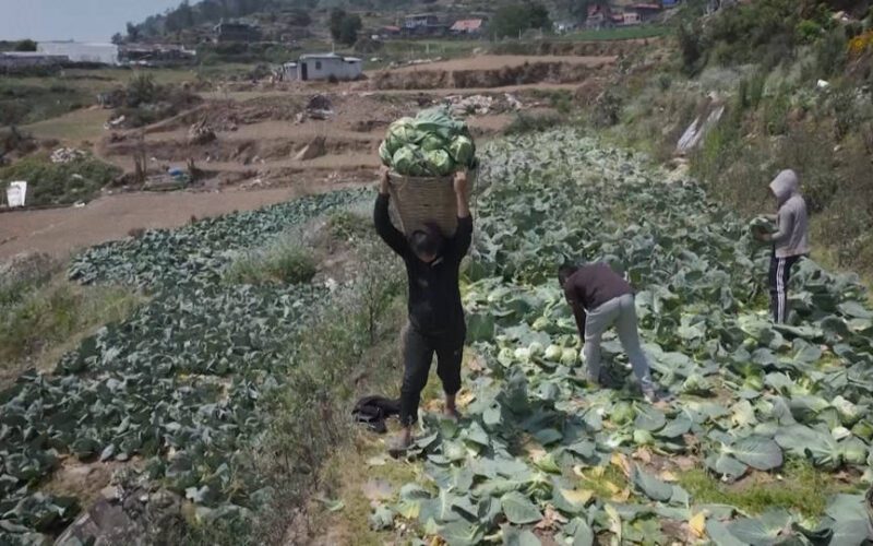 Organización de la ONU advierte que la crisis en el estrecho de Ormuz podría conducir a una “catástrofe” alimentaria