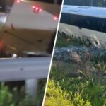 Cinco muertos y 34 trasladados a hospitales tras un accidente de autobús en la I-95 en Stafford