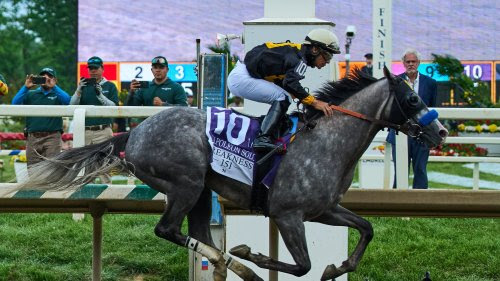 Napoleon Solo gana el 151.º Preakness Stakes en una segunda carrera de la Triple Corona muy abierta
