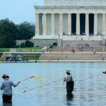 Se observa cómo se desprende la pintura azul del estanque reflejante del Monumento a Lincoln
