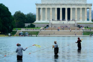 Se observa cómo se desprende la pintura azul del estanque reflejante del Monumento a Lincoln