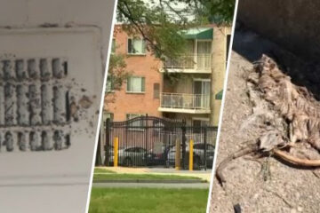 Lo que alguna vez fue una «joya» de DC: residentes denuncian el deterioro de los apartamentos Fort Chaplin Park