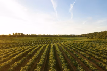 National Wildlife Federation urge mayores recursos al programa de conservación de la Ley Agrícola