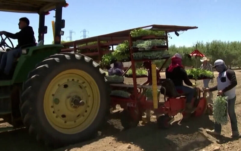 La guerra contra Irán dispara los precios del diésel y obliga a los agricultores de EE.UU. a gastar 1.400 millones de dólares adicionales