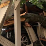 Tormentas de rápido desplazamiento derriban árboles y aplastan automóviles en el norte de Virginia