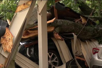 Tormentas de rápido desplazamiento derriban árboles y aplastan automóviles en el norte de Virginia