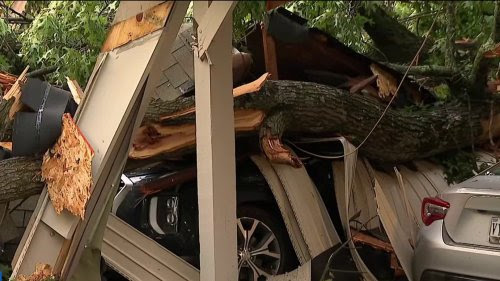Tormentas de rápido desplazamiento derriban árboles y aplastan automóviles en el norte de Virginia