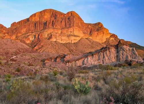 Conservacionistas alertan sobre el impacto de un muro fronterizo en el área del Parque Nacional Big Bend