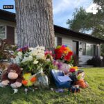Una comunidad está de luto tras la muerte de un niño de 5 años, quien fue atropellado por un automóvil