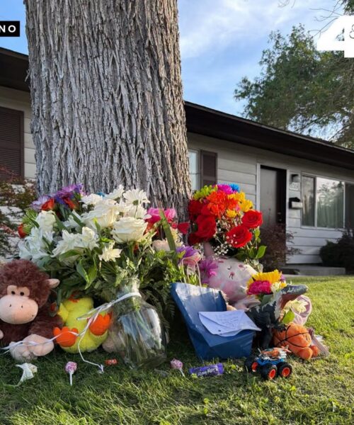 Una comunidad está de luto tras la muerte de un niño de 5 años, quien fue atropellado por un automóvil