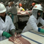 Tyson Foods despide a más de 3.000 trabajadores tras cerrar dos plantas de envasado de productos cárnicos en Illinois y Utah