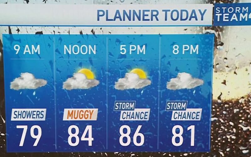 Pronóstico de Storm Team4: Probabilidad de chubascos matutinos y tormentas por la tarde para el domingo