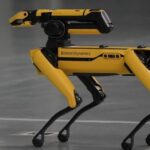 ICE planea gastar 2 millones de dólares en robots con forma de perro para tareas de control migratorio
