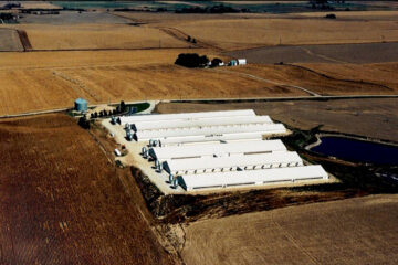 The New York Times y Flatwater Free Press: el gobernador de Nebraska respalda las redadas del ICE al tiempo que su negocio porcino emplea a trabajadores indocumentados