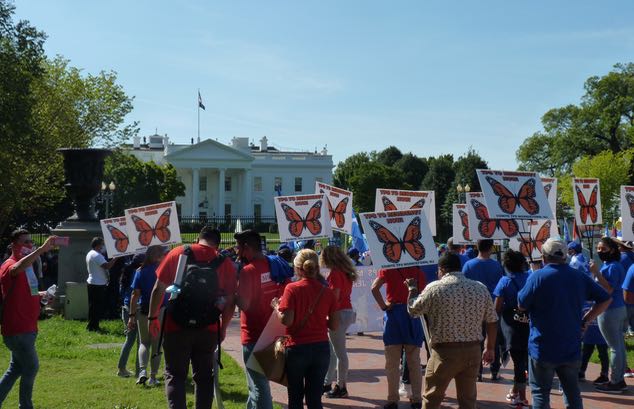 El condado de Montgomery se solidariza con los beneficiarios del TPS salvadoreño y otras comunidades designadas con ese estatus